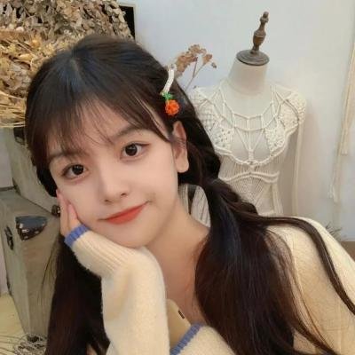 黑之契约者2:流星的双子